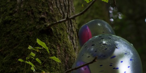 Puffball from Designing for the Sixth Extinction by Daisy Ginsberg