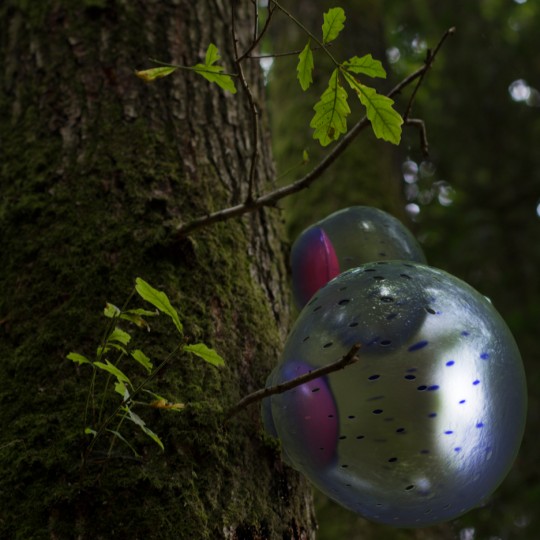 Puffball from Designing for the Sixth Extinction by Daisy Ginsberg
