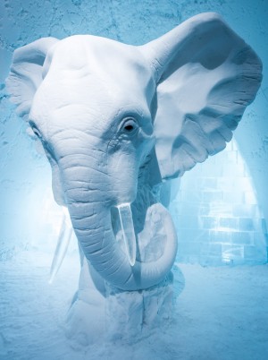 Ice hotel interiors feature