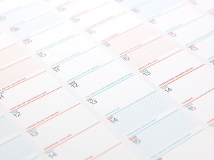 2016 wall planner by Evermade