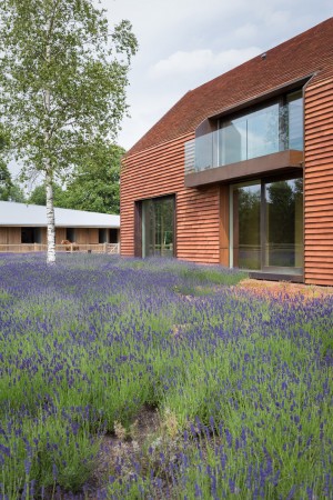 Family home in Olmen by Pascal Francois