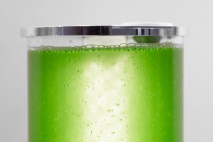 Farma home bioreactor by Will Patrick
