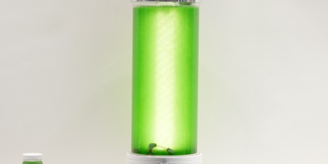 Farma home bioreactor by Will Patrick