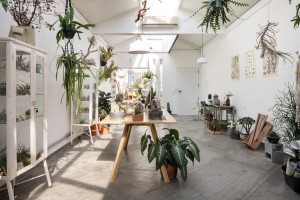 Flô Ateliê Botânico by Epicentro