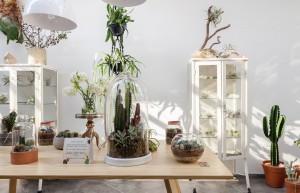 Flô Ateliê Botânico by Epicentro