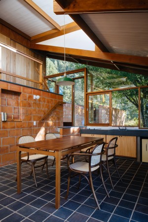 Half-slope House by Denis Joelsons Gabriela Barauna Uchida
