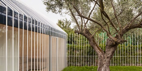 House for a man and a tree by Taller Basico