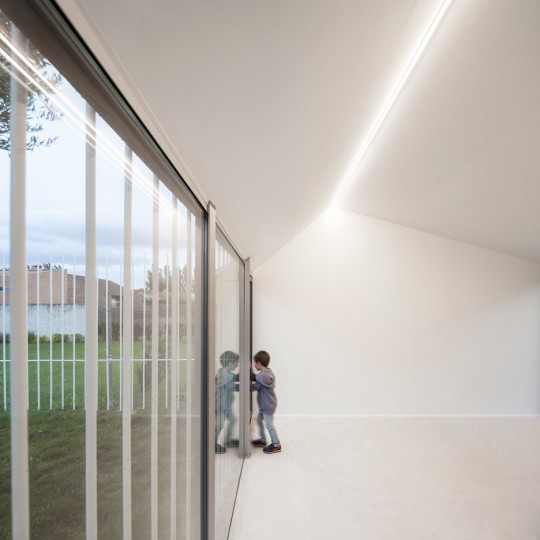 House for a man and a tree by Taller Basico