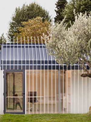 House for a man and a tree by Taller Basico