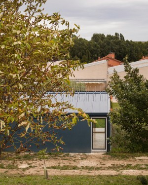 House for a man and a tree by Taller Basico