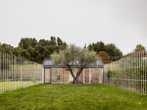 House for a man and a tree by Taller Basico