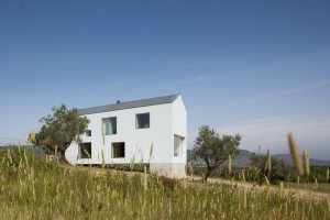House in Fonte Boa by Joao Mendes Ribeiro