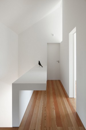 House in Fonte Boa by Joao Mendes Ribeiro
