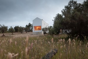 House in Fonte Boa by Joao Mendes Ribeiro