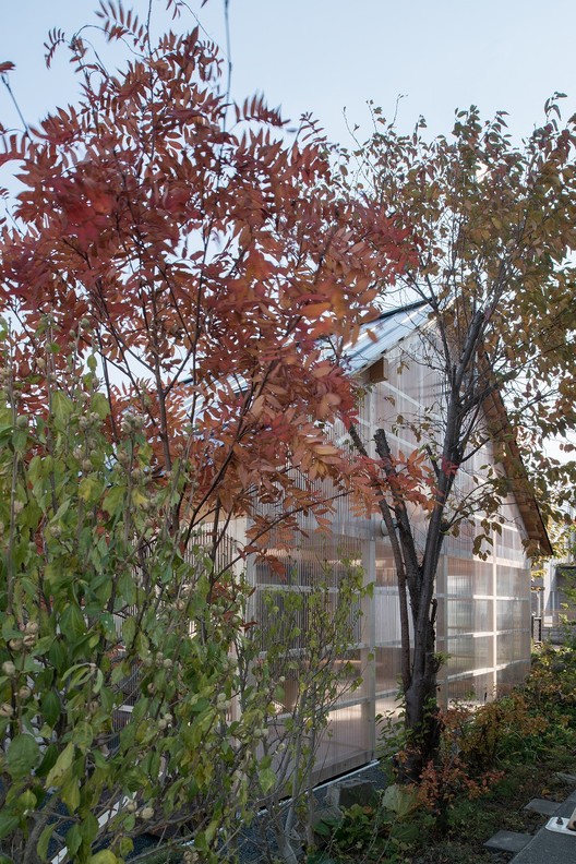 House-in-Skinkawa_Yoshichika-Takagi_Sapporo_Japan_greenhouse_polycarbonate_dezeen_936_13