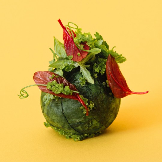 Future of the meatball by Ikea's Space10 research lab
