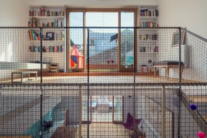 Juno's House by Nook Architects