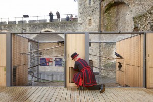 Ravens' enclosure by Llowarch Llowarch Architects