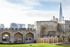 Ravens' enclosure by Llowarch Llowarch Architects