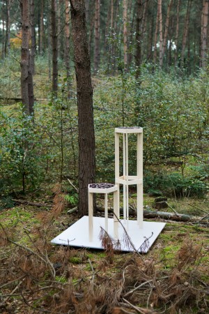Reconfiguration of a tree by Studio Thomas Vailly