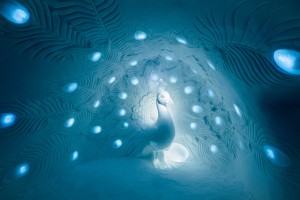 Ice hotel interiors feature