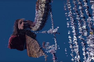 Sissi Rada's Sunday music video by Schnellebuntebilder