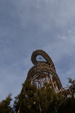 Sky Walk by Franek Architects