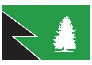 Star Wars flags by Scott Kelly