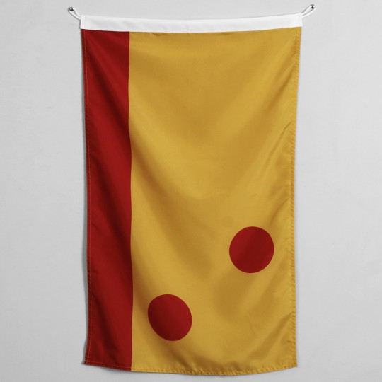 Star Wars flags by Scott Kelly