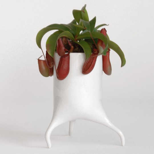 The Carnivora plant pots by Tim Van de Weerd