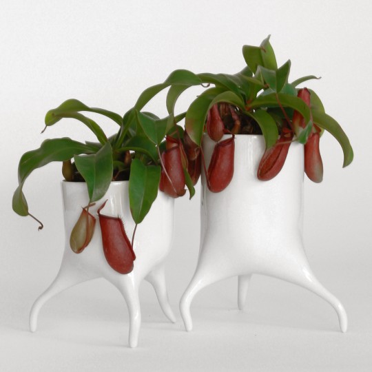 The Carnivora plant pots by Tim Van de Weerd