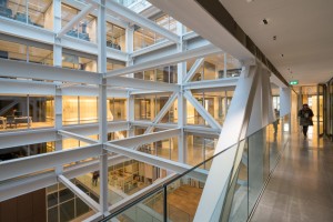Timmerhuis by OMA