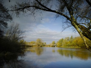 University of Limerick Living Bridge by Wilkinson Eyre