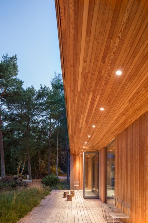 Villa Ljung by Johan Sundberg