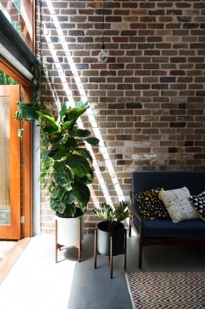 Walter Street Terrace by David Boyle Architects