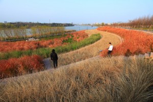 Yanweizhou Park by Turenscape