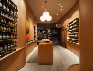 Aesop SoFo by In Praise of Shadows