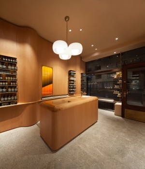 Aesop SoFo by In Praise of Shadows