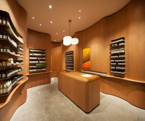 Aesop SoFo by In Praise of Shadows