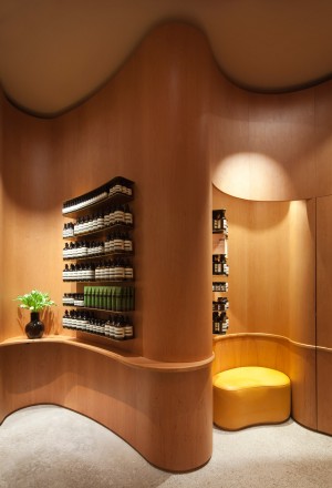 Aesop SoFo by In Praise of Shadows