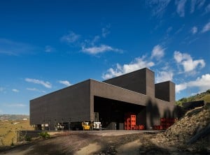 Winery by Belem Lima
