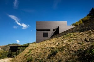 Winery by Belem Lima