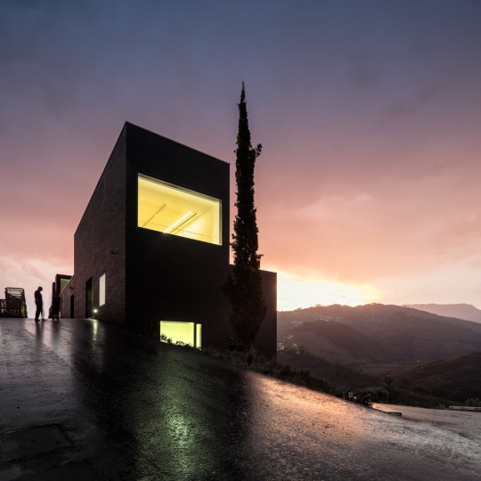 Winery by Belem Lima