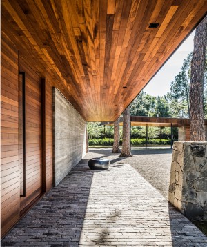 CCR1 Residence by Wernerfield