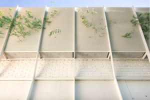 Casa Fernandez by Adamo Faiden