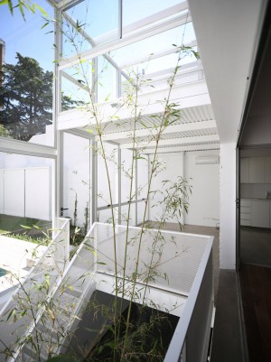 Casa Fernandez by Adamo Faiden