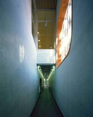 Aquazena swimming pool by Mikou Studio