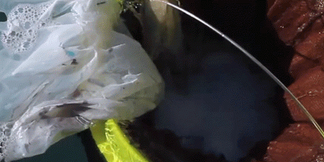 Floating Seabin prototype by Pete Ceglinski and Andrew Turton