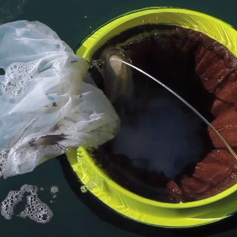 Floating Seabin prototype by Pete Ceglinski and Andrew Turton