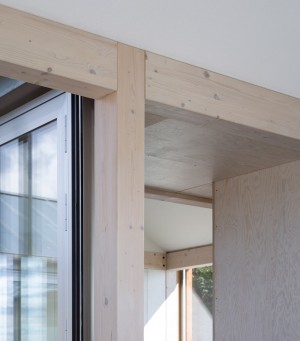 House at Molls Hill by Lenschow and Pihlmann